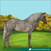Horse Color:Silver Buckskin Roan 