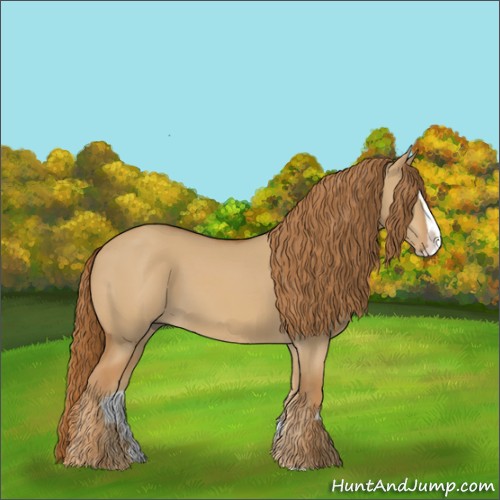 Horse Color:Red Dun Splash