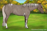 Horse Color:Silver Blue Roan Splash Tobiano  and Silver Blue Roan Tobiano 