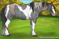 Horse Color:Silver Blue Roan Splash Tobiano  and Blue Roan Splash Tobiano 