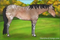 Horse Color:Bay Ice 