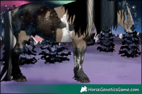 Horse Color:Silver Grullo Splash Tobiano  and ERROR: UNKNOWN ANOMALY