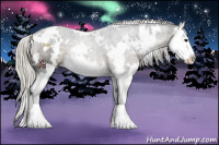 Horse Color:White Spotted Silver Smoky Black Sabino Splash