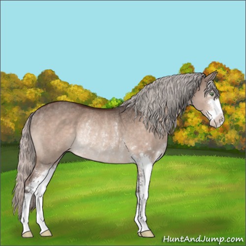 Horse Color:Silver Bay Dun Mushroom Sabino Rabicano 