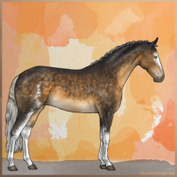 Horse Color:White Spotted Silver Buckskin 