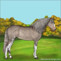 Horse Color:White Spotted Silver Brown Dun Rabicano 