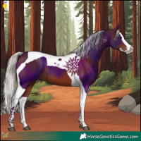 Horse Color:Silver Bay Splash Tobiano 