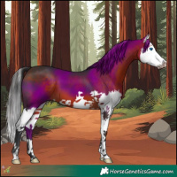 Horse Color:Brown Splash