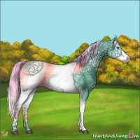 Horse Color:Watercolor White Spotted Liver Chestnut Splash 