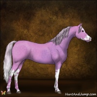 Horse Color:Watercolor Silver Black Splash