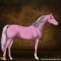 Horse Color:Watercolor Silver Black 