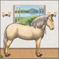 Horse Color:Palomino Roan 