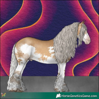 Horse Color:Gray White Spotted Silver Amber Cream Champagne Splash 