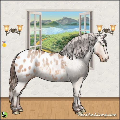 Horse Color:Amber Champagne Blanket Rabicano