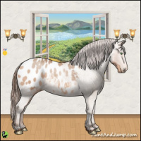 Horse Color:Amber Champagne Blanket Rabicano 