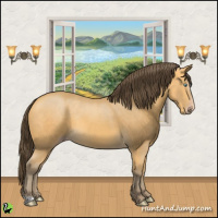 Horse Color:Amber Cream Champagne Rabicano 
