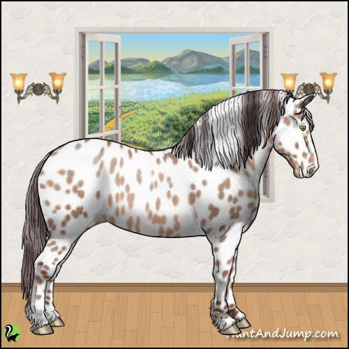 Horse Color:Sable Champagne Appaloosa 