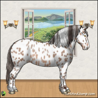 Horse Color:Sable Champagne Appaloosa
