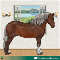 Horse Color:Silver Brown Sabino Rabicano 
