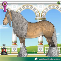 Horse Color:Silver Buckskin Dun Sabino Tobiano