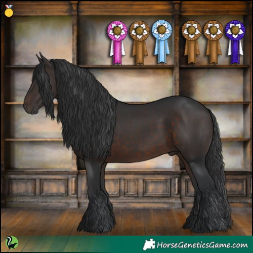 Horse Color:White Spotted Brown 