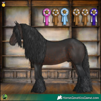 Horse Color:White Spotted Brown