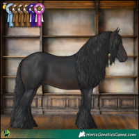 Horse Color:White Spotted Brown