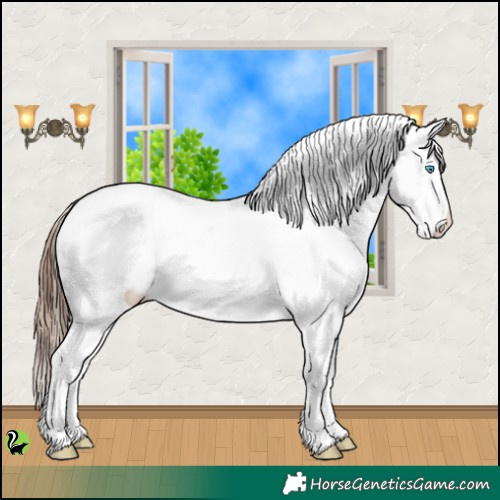 Horse Color:Sable Champagne Blanket 