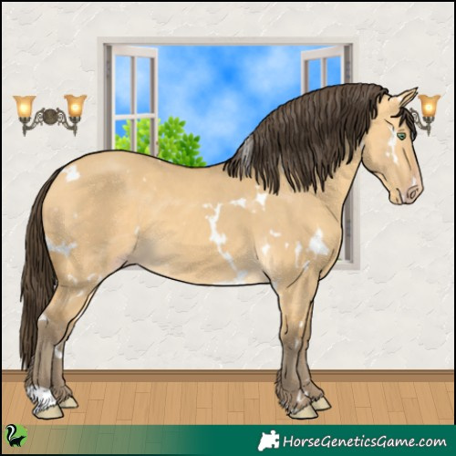 Horse Color:White Spotted Amber Cream Champagne Dun