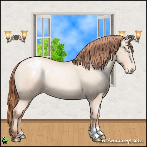 Horse Color:Sable Champagne Pearl Appaloosa