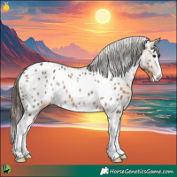 Horse Color:Brown Dun Splash Appaloosa 