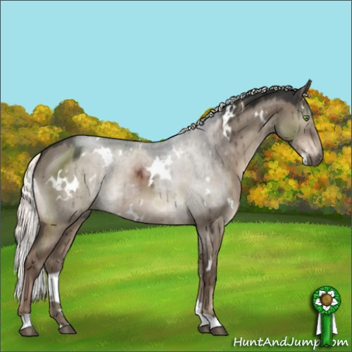 Horse Color:White Spotted Liver Red Dun Mushroom Brindle
