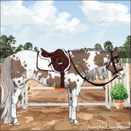 Horse Color:White Spotted Silver Brown Dun Sabino 