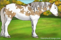 Horse Color:White Spotted Silver Buckskin Dun Mushroom Sabino Splash 