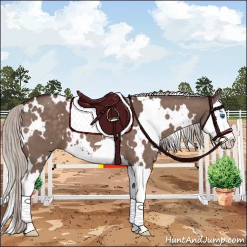 Horse Color:White Spotted Silver Brown Dun Mushroom Sabino Splash 