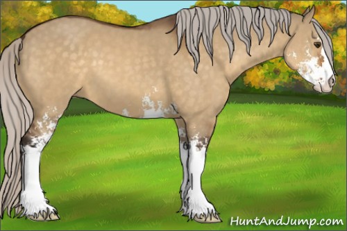 Horse Color:Silver Buckskin Dun Sabino