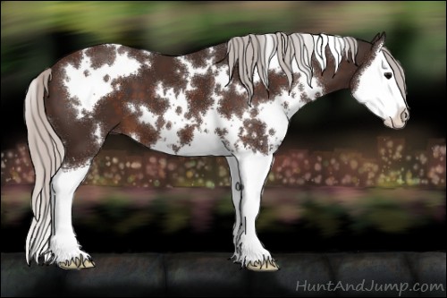 Horse Color:White Spotted Silver Brown Sabino Splash 