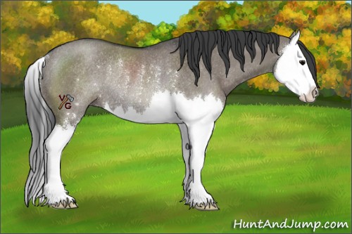 Horse Color:Grullo Sabino Splash Rabicano 