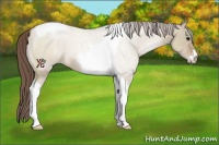 Horse Color:Grullo Pearl Sabino Tobiano