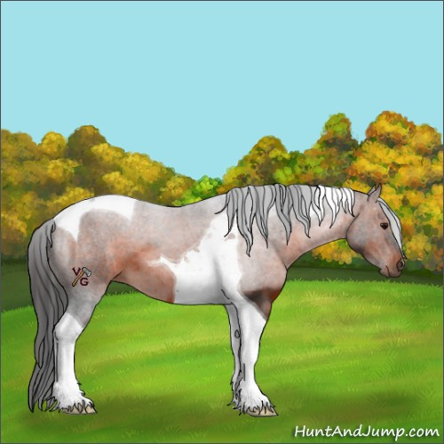 Horse Color:Brown Tobiano