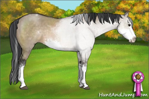 Horse Color:Brown Dun Sabino Rabicano 