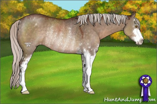 Horse Color:Silver Brown Dun Sabino Varnish Rabicano