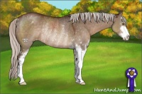 Horse Color:Silver Brown Dun Sabino Varnish Rabicano 