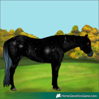 Horse Color:ERROR: UNKNOWN ANOMALY