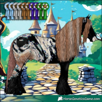 Horse Color:ERROR: UNKNOWN ANOMALY