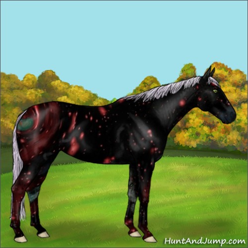 Horse Color:ERROR: UNKNOWN ANOMALY