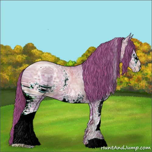 Horse Color:ERROR: UNKNOWN ANOMALY