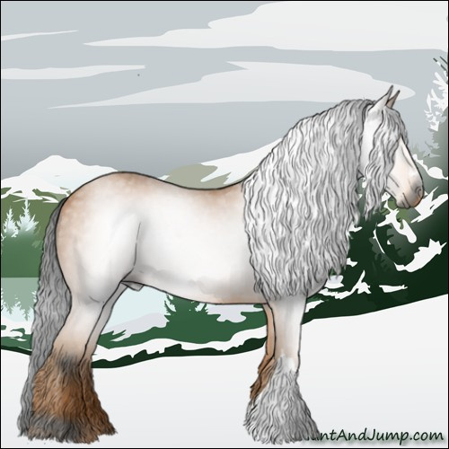 Horse Color:Gray Buckskin Rabicano 
