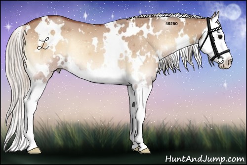 Horse Color:White Spotted Silver Bay Onyx Splash 