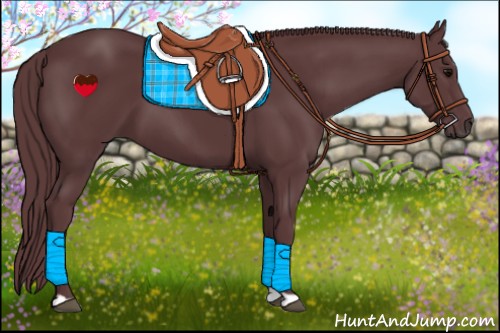 Horse Color:Chocolate Black 